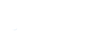 ANM Partner - Arctic Wolf